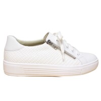 Solidus sneakers