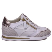 DL Sport sneakers