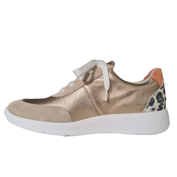 Solidus sneakers